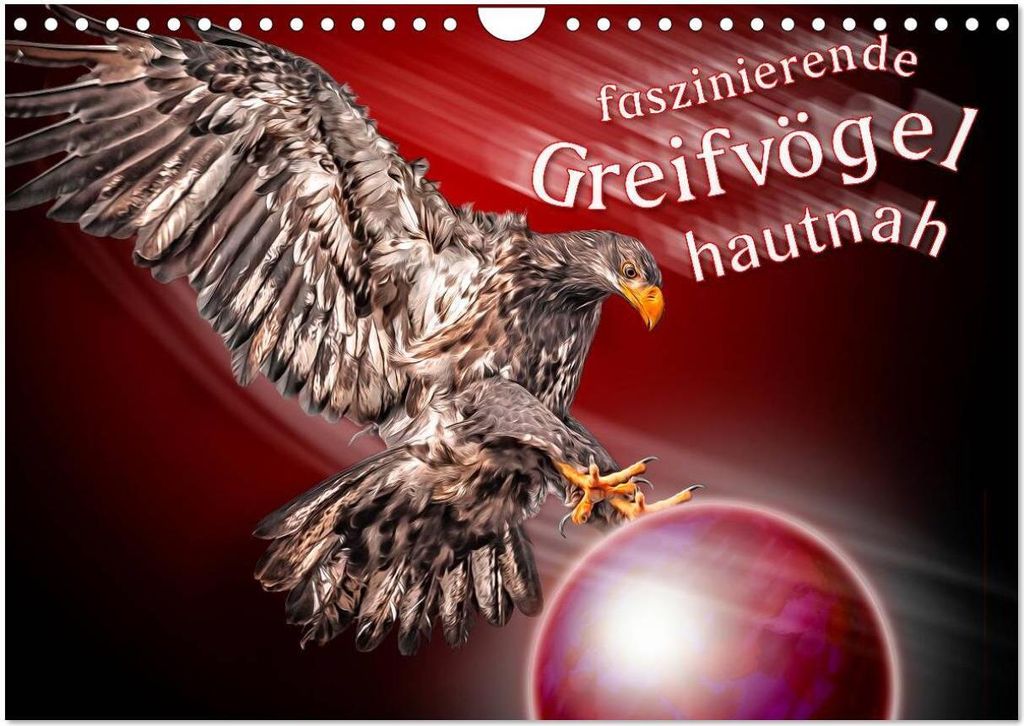 Faszinierende Greifvögel hautnah (Wandkalender 2026 DIN A4 quer), CALVENDO Monatskalender