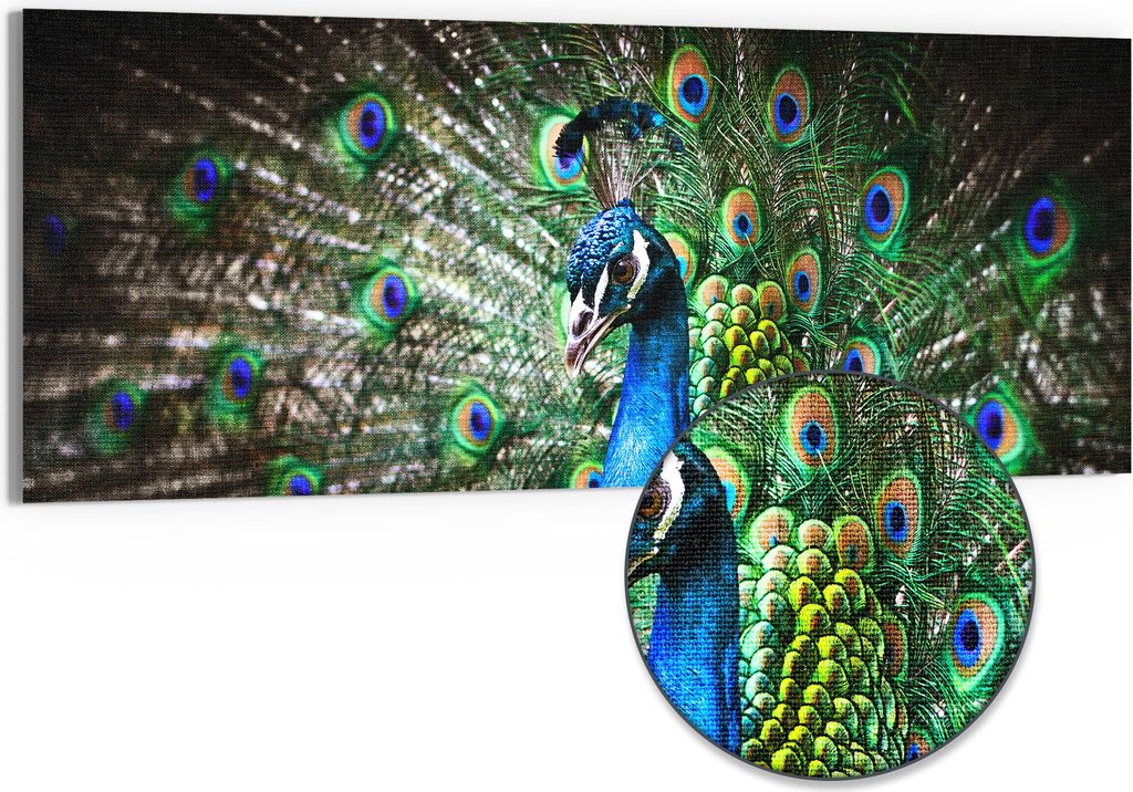 DEQORI Hybrid Leinwand Bild 125x50 cm 'Schönheit des Gefieders' Wandbild Glas flach modern