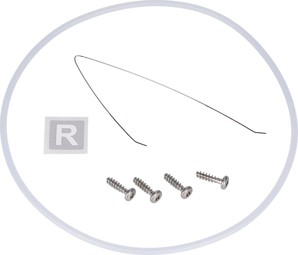 A close-up, overhead view of a set of screws, a thin metal wire, and a small square label with the letter R on it, all within a transparent circular border.