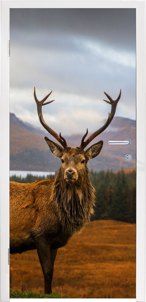 MuchoWow Türtapete Selbstklebende Türfolie Hirsche - Berge - Wasser - Landschaft - Tiere - Bäume 80x205 cm Türposter Türaufkleber Klebefolie...