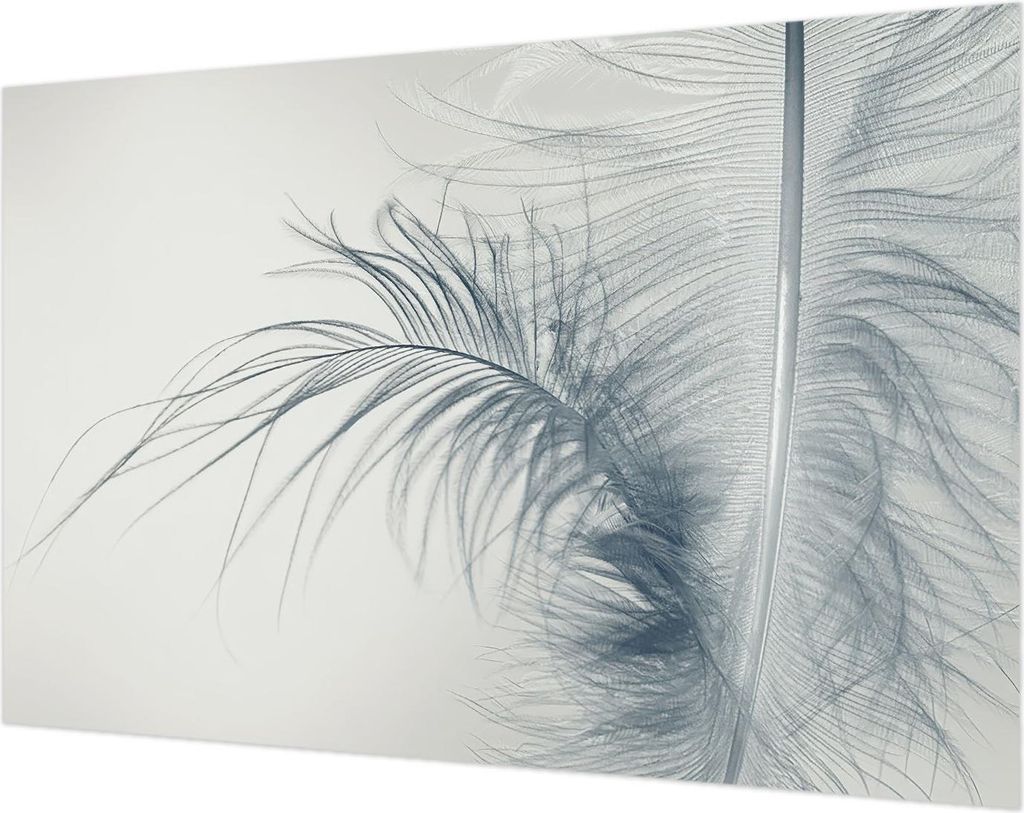 Wandtapete - Dekorative Tapete für Wohnzimmer- Tapetenfolie für Wanddekoration - 104x70 cm - Zarte Feder