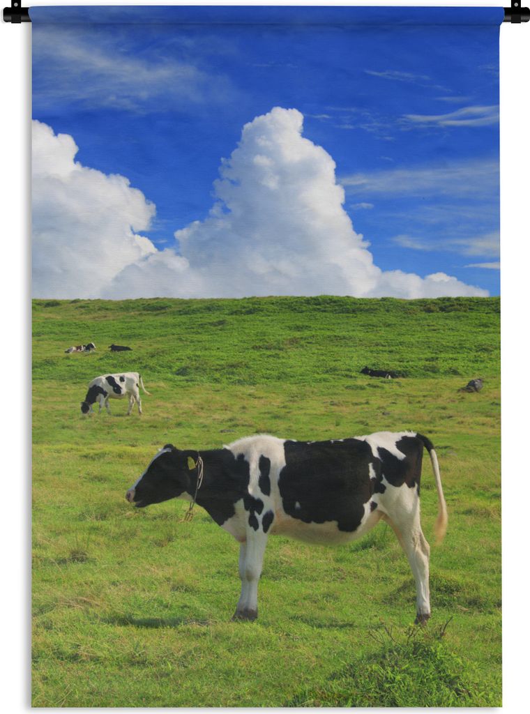 MuchoWow Wandteppich Wandbehang Kühe - Nutztiere - Gras 60x90 cm Tapisserie Dekoration Wandtuch - Foto-Teppich - Abwaschbar