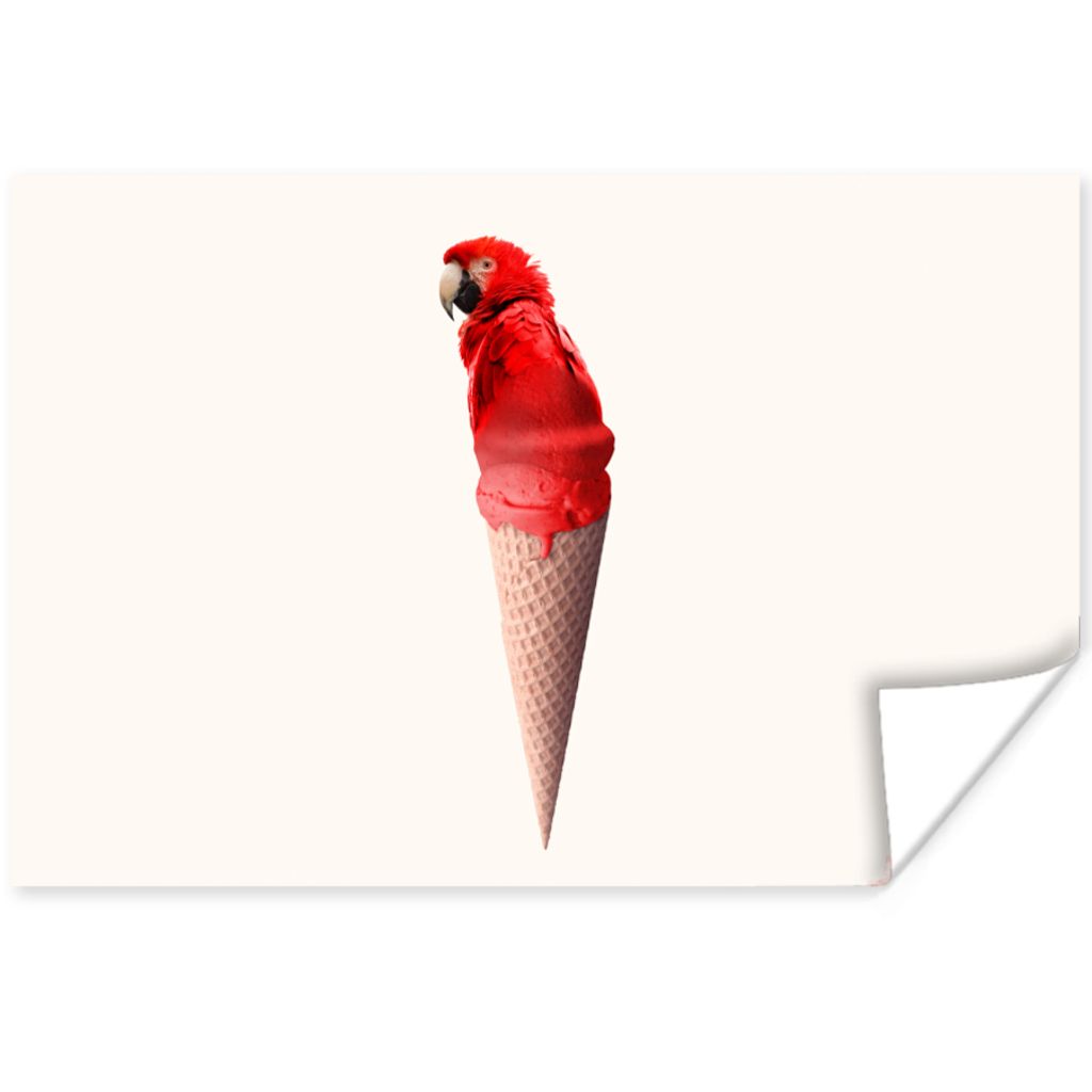 MuchoWow Poster Eiscreme - Papagei - Rot - Eistüten - Weiß 60x40 cm - Schlafzimmerdekoration