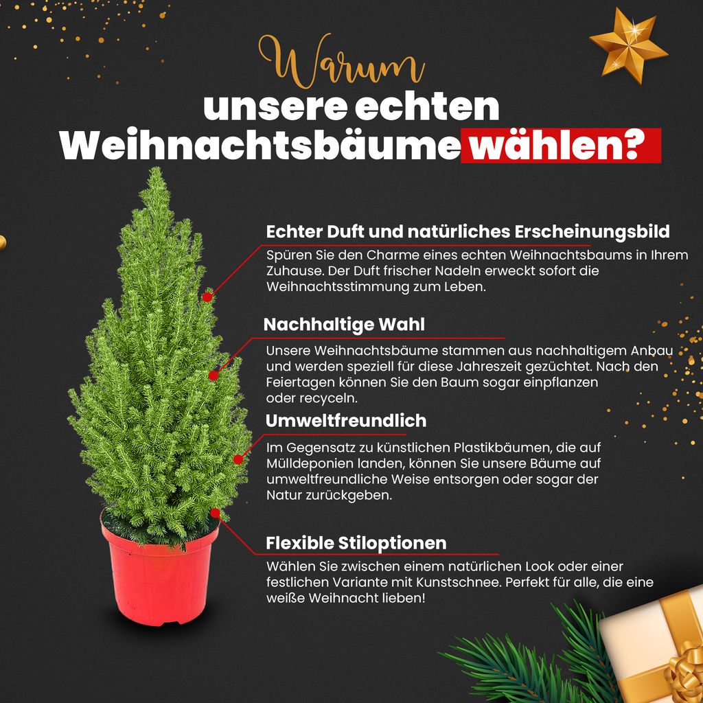 AO BLARE Weihnachtsbaum-Duschvorhang – 180 X 180 Cm, Polyester, Wasserdicht | Mit 12 Haken, Süßes Weihnachtsdesign Fürs Badezimmer