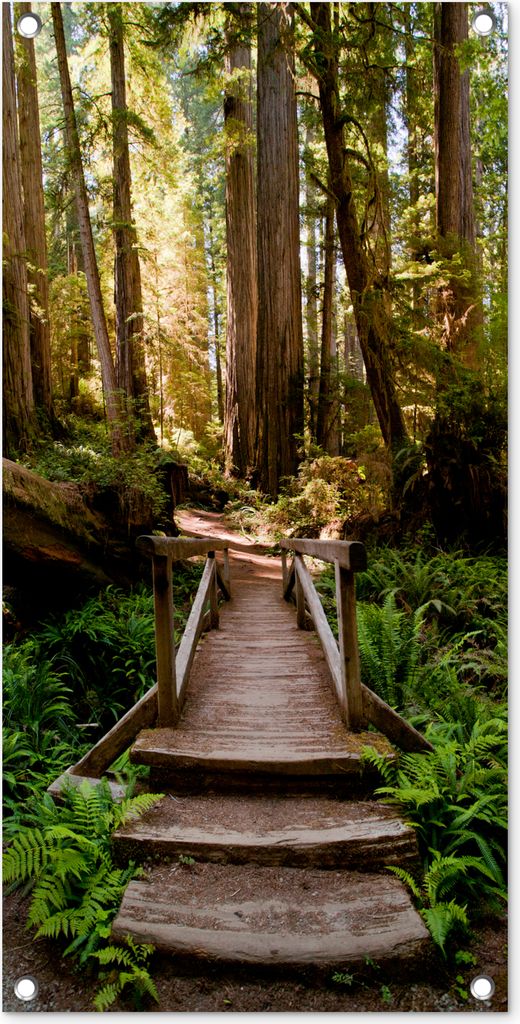 MuchoWow 40x80 cm Outdoor-Poster Gartendeko Sichtschutz Garten Poster für den Garten Dschungel - Natur - Treppe - Bäume