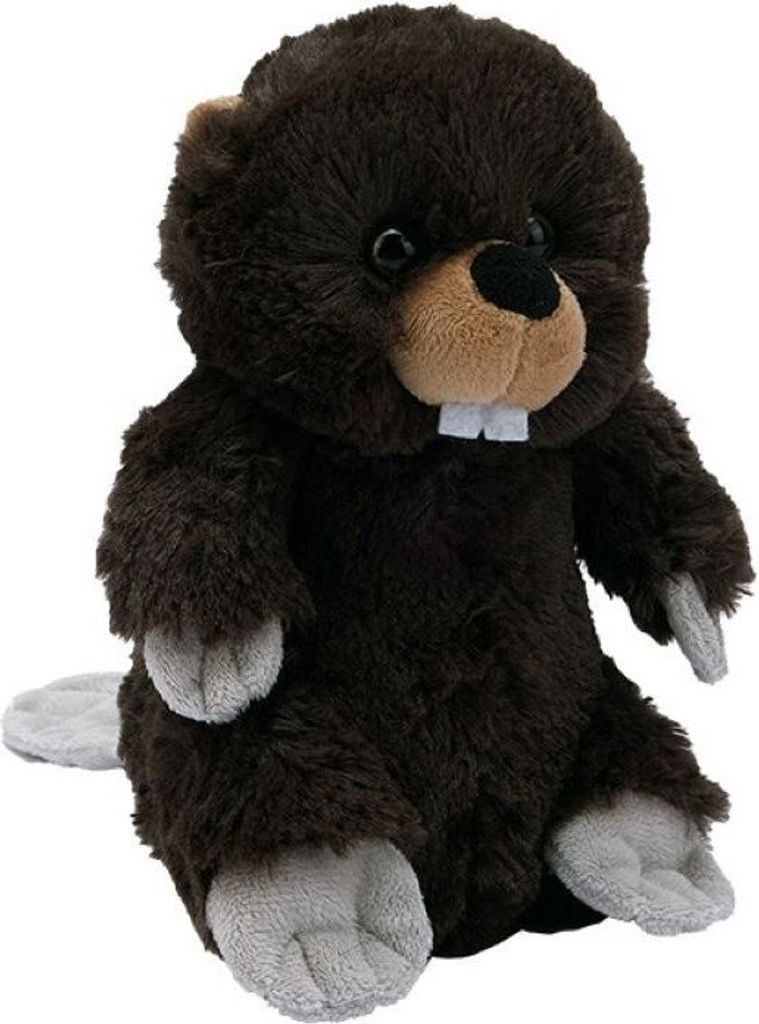 A plush toy beaver sitting on a white background.