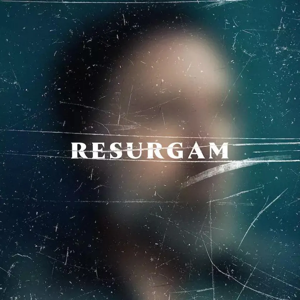 Fink Resurgam Vinyle - Son Analogique Riche sans Compression Numérique