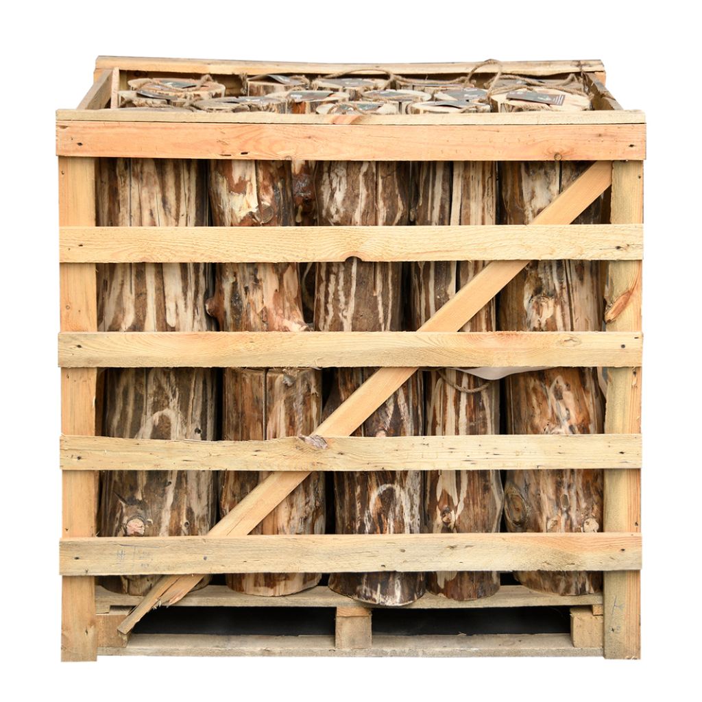 Esschert Design Schwedenfeuer 100cm ø15-25cm; FF106 Produktbild 