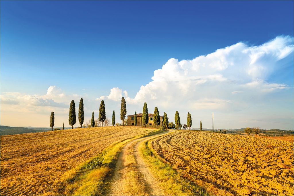 Wallario Premium Vliestapete Fototapete Italien - Toskana unter blauem Himmel einsame Farm in der Größe 400 x 267 cm, extra dick, wird in 5 Teile...