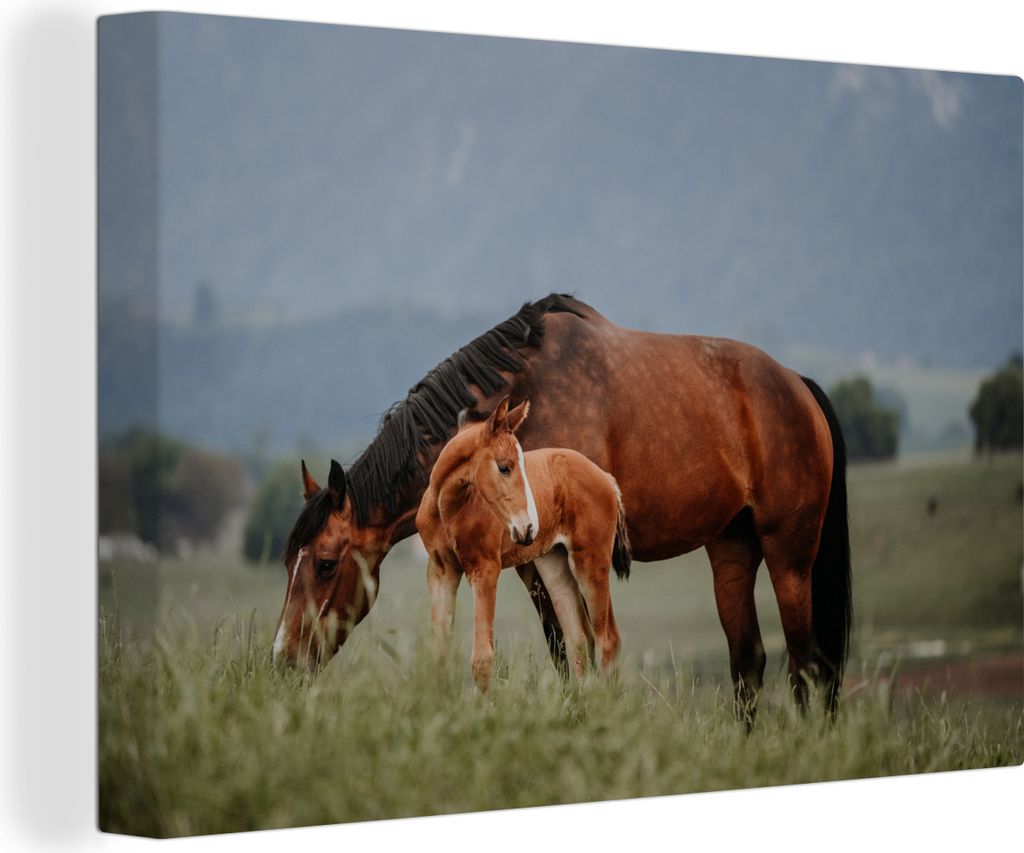 OneMillionCanvasses - Leinwandbilder - 140x90 cm, Pferde - Fohlen - Natur, Wandbilder Kunstdruck Wanddekoration