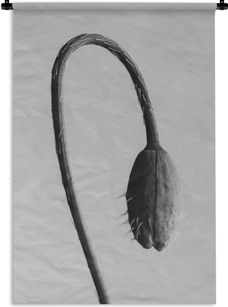 MuchoWow Wandteppich Wandbehang Abstrakte Hängepflanze 120x180 cm Tapisserie Dekoration Wandtuch - Schlafzimmer - Dekorationen für das Haus