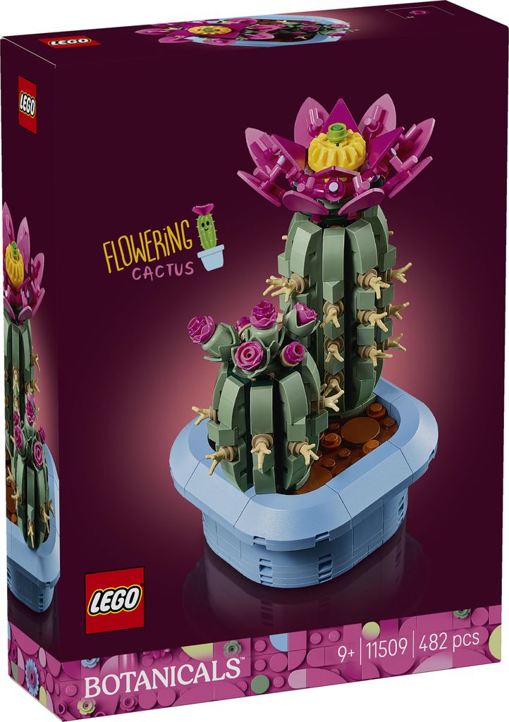 LEGO Botanicals Blühender Kaktus - Kunstblumen Set mit Produktbild 