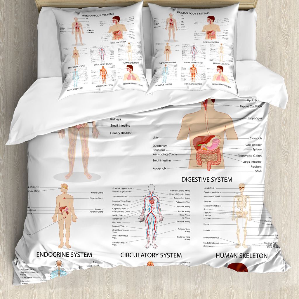 ABAKUHAUS Gesundheit Bettbezug, Verschiedene Organe, Milbensicher Allergiker geeignet mit Kissenbezügen, 155 cm x 220 cm - 80 x 80 cm, Mehrfarbig