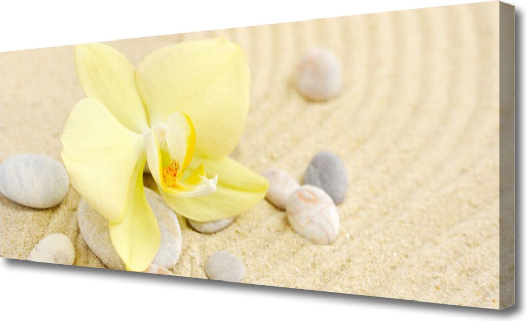 Tulup Leinwand-Bilder 125x50 Wandbild Canvas Kunstdruck Blumen Pflanzen