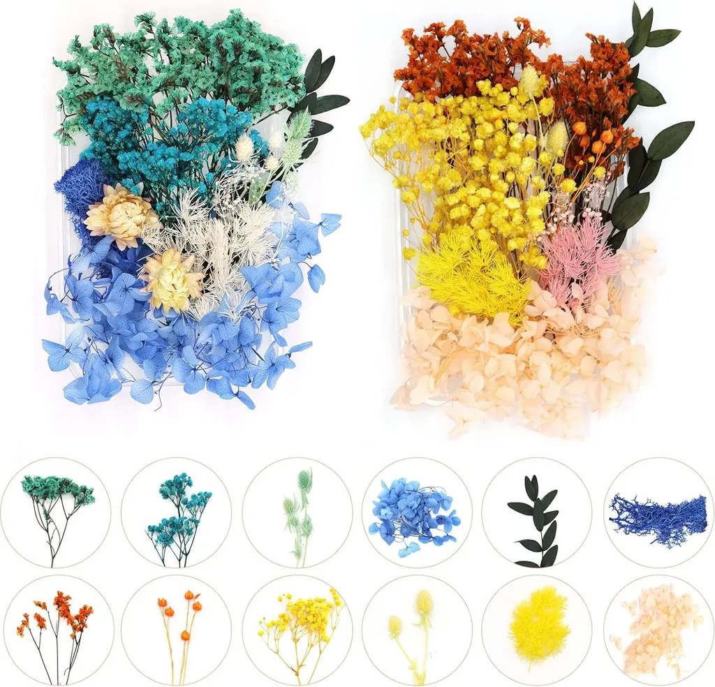 Kit de Fleurs Naturelles Séchées Bleues pour Bricolage et Décoration DIY