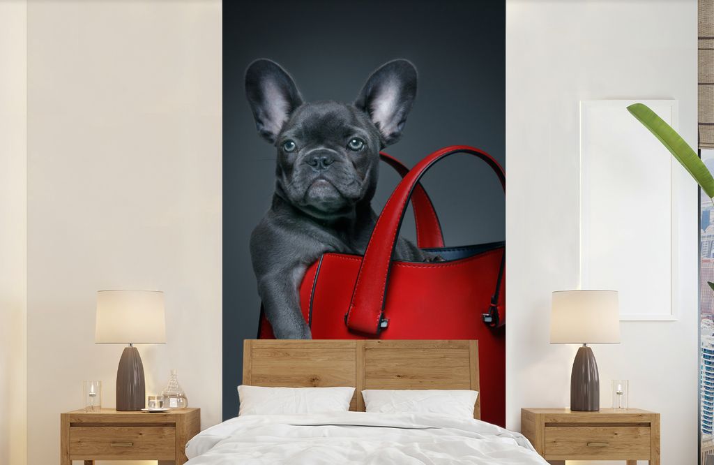 MuchoWow Fototapete für Wohnzimmer oder Schlafzimmer Wandtapete Vinyl Motivtapete Hund - Lustig - Tasche - Kinder - Jungen - Mädchen - Kinder -...