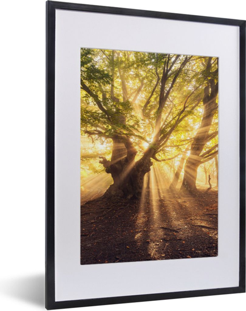 MuchoWow Gerahmtes Poster Baum - Wald - Sonne 30x40 cm - Poster mit Schwarzem Bilderrahmen Wandposter Rahmen Foto Bilder - Wandposter Schlafzimmer