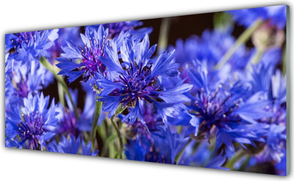 Küchenrückwand aus Glas 125x50cm Spritzschutz Blumen Pflanzen
