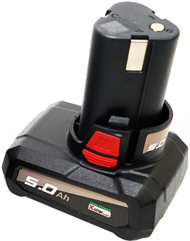 Batteria Parkside Performance 12V 5Ah PAPK 12 5.0 A1 X12V Team