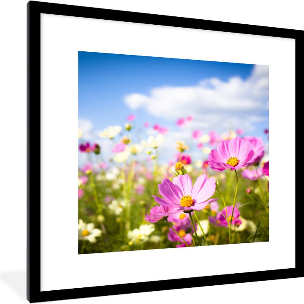 MuchoWow Gerahmtes Poster Blumen - Wiese - Lila - Gras - Weiß - Wolken - Blau 40x40 cm - Poster mit Schwarzem Bilderrahmen Wandposter Rahmen Fot...