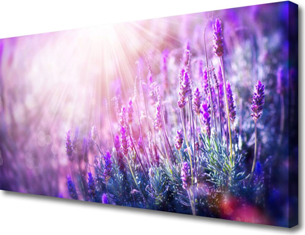 Tulup Leinwand-Bilder 100x50 Wandbild Canvas Kunstdruck Blumen Pflanzen