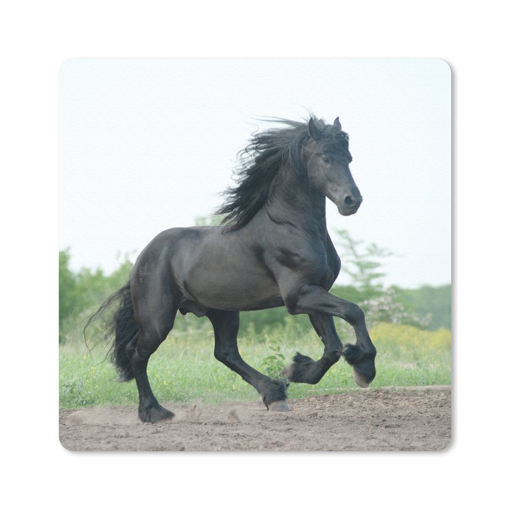 MuchoWow Mauspad Mousepad Pferd - Schwarz - Natur 30x30 cm - Mousepads - Maus Mat - Pad - Mausunterlage - Gaming