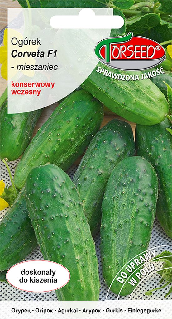 Samen von Corveta F1 3g Einlegegurke - Torseed Produktbild 