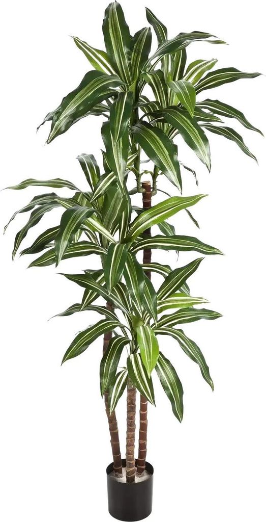 aplanta Künstlicher Drachenbaum - Nico | 150 cm, Echtholzstamm, für drinnen, Kunstbaum, wie echt, Allergiker geeignet, pflanzliche Dekoration Pra...