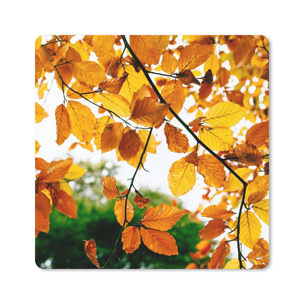 MuchoWow Mauspad Mousepad Herbstblätter - Baum - Rustikal 20x20 cm - Mousepads - Maus Mat - Pad - Mausunterlage - Desk Mat - Bureauartikeln