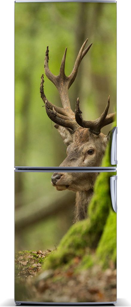 Tulup Kühlschrankdekoration - Magnetmatte - 60 cm x 180 cm - Magnet auf dem Kühlschrank - Hirsch