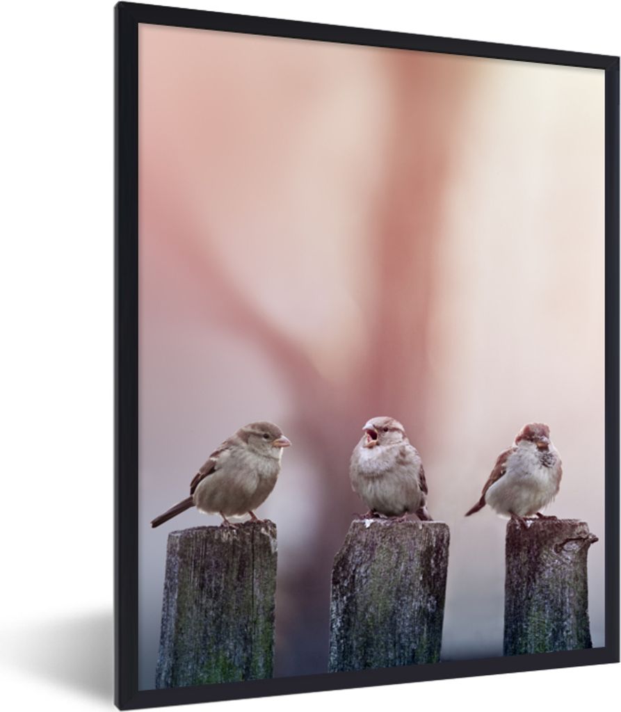 MuchoWow Gerahmtes Poster Vögel - Spatzen - Pfähle - Holz 60x80 cm - Poster mit Schwarzem Bilderrahmen Wandposter Rahmen Foto Bilder - Premium ...