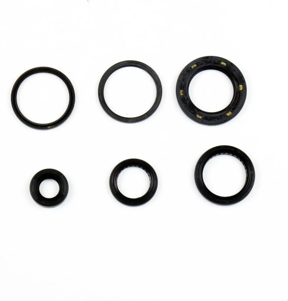 Stop fuites huile : Joints moteur Athena Honda Forza 250 2005-2007