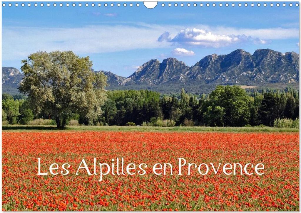 Les Alpilles en Provence (Calendrier mural 2026 DIN A3 vertical), CALVENDO calendrier mensuel