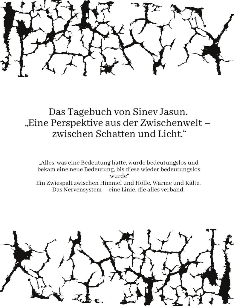 Das Tagebuch von Sinev Jasun. "Eine Perspektive aus der Zwischenwelt - zwischen Schatten und Licht."