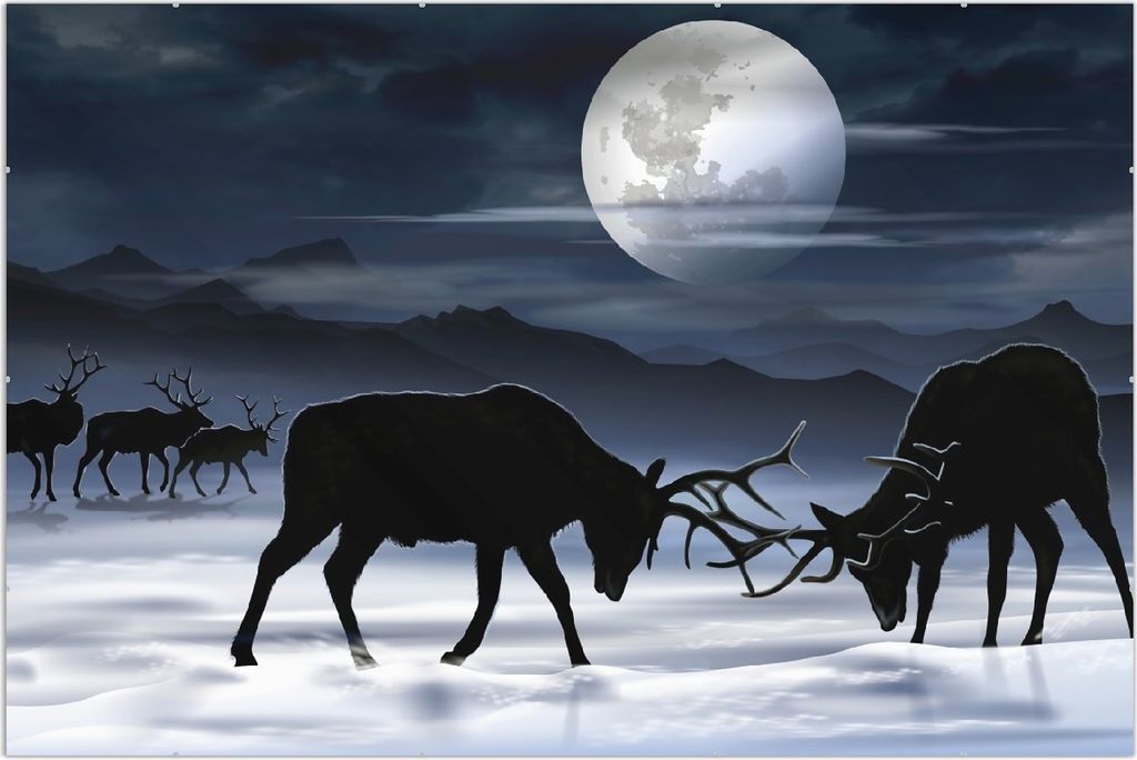 Wallario Wandbild Elch im Schnee bei Mondschein - Silhouette am Abend, Größe: 61 x 91,5 cm, Poster mit rahmenlosen Bildhalter