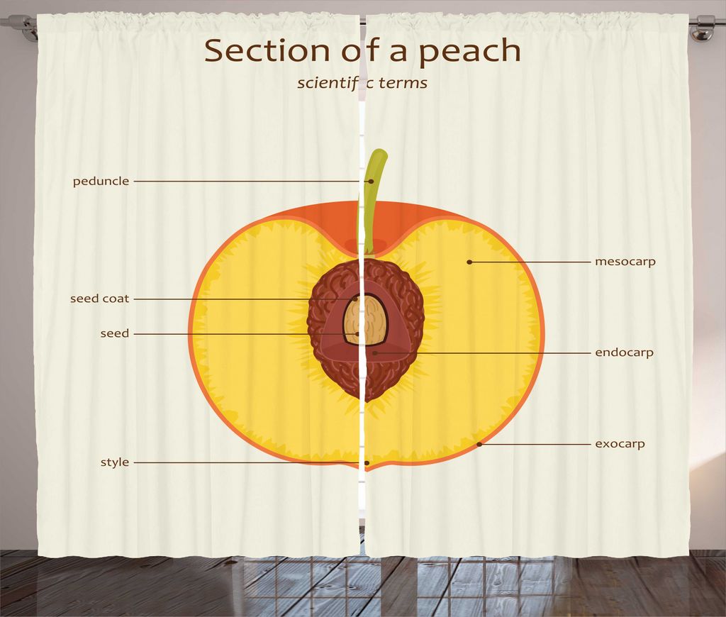 ABAKUHAUS Lehrreich Rustikaler Vorhang, Peach Sections Naming, Wohnzimmer Universalband Gardinen mit Schlaufen und Haken, 280 x 225 cm, Mehrfarbig