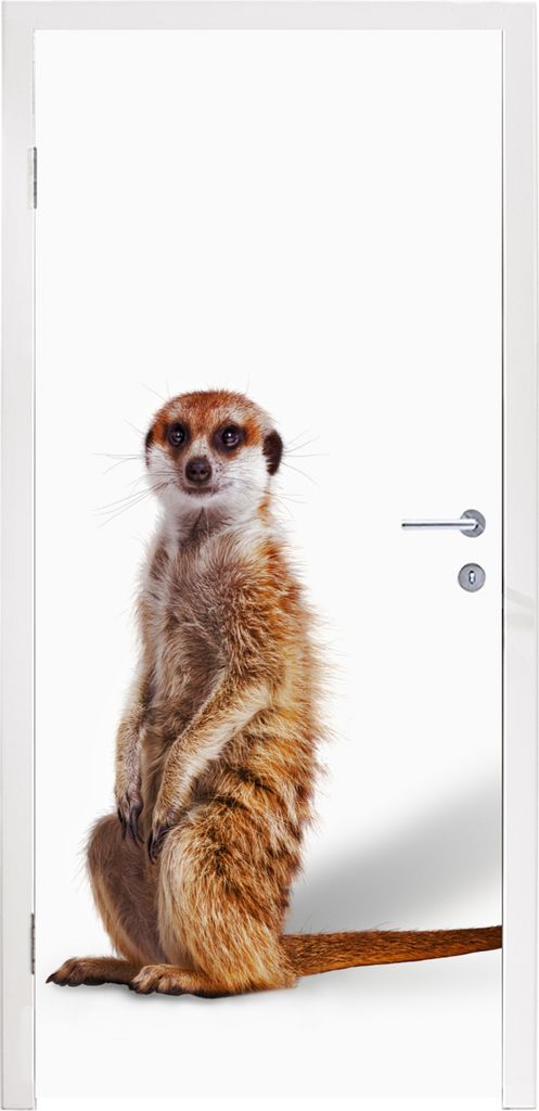 MuchoWow Türtapete Selbstklebende Türfolie Erdmännchen - Tiere - Fell 85x205 cm Türposter Türaufkleber Klebefolie Türklebefolie - Türverzi...