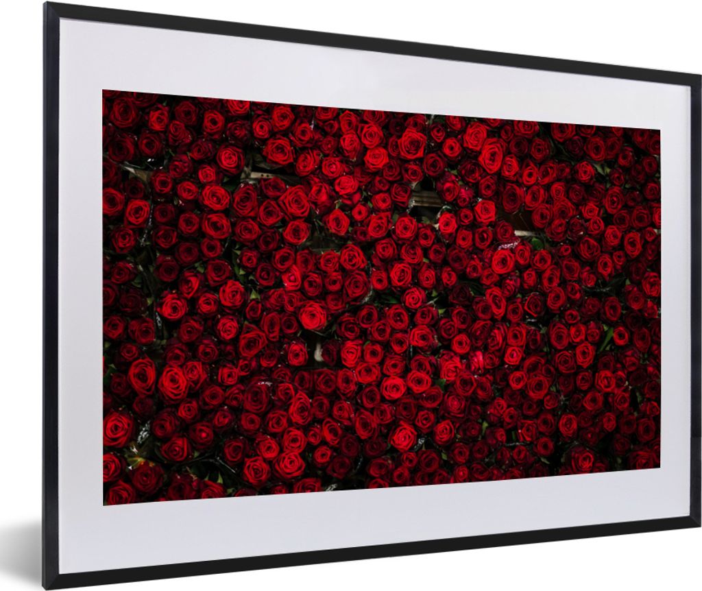 MuchoWow Gerahmtes Poster Blumen - Rosen - Rot 60x40 cm - Poster mit Schwarzem Bilderrahmen Wandposter Rahmen Foto Bilder - Schlafzimmer - Plakat...