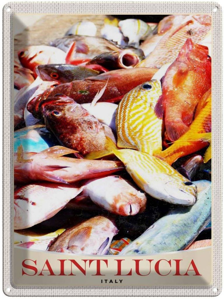 vianmo Blechschild 40x30 cm Saint Lucia Urlaub Italien Europa Fische Bildmotiv Reisemotiv Abenteuer Reisen