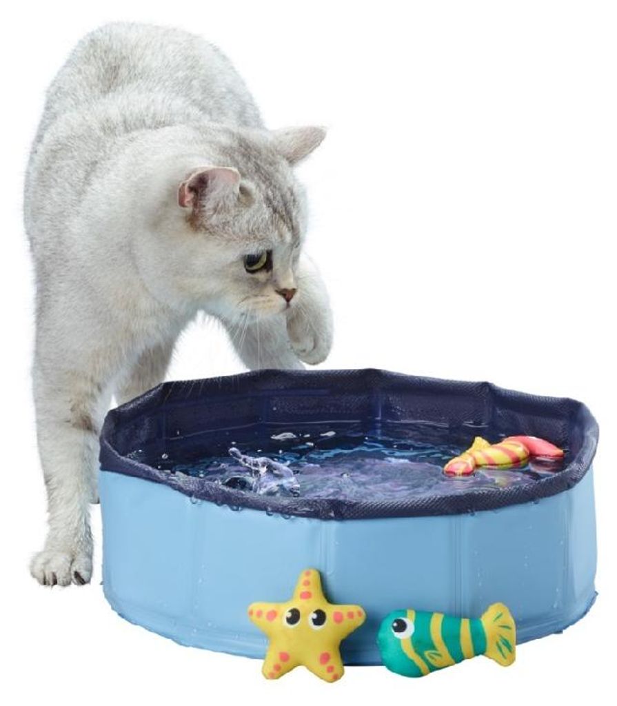 AniOne Pool für Katzen oder kleine Hunde Produktbild 