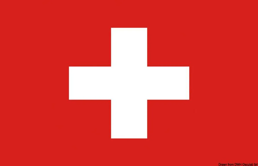 Drapeau Suisse pour supporters et fêtes - Format 80 x 120 cm polyvalent