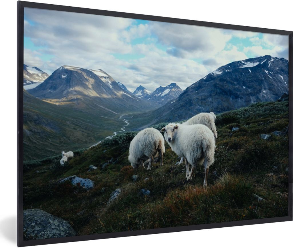 MuchoWow Gerahmtes Poster Schafe - Natur - Berge 30x20 cm - Poster mit Schwarzem Bilderrahmen Wandposter Rahmen Foto Bilder - Kunstdruck - Bild-P...