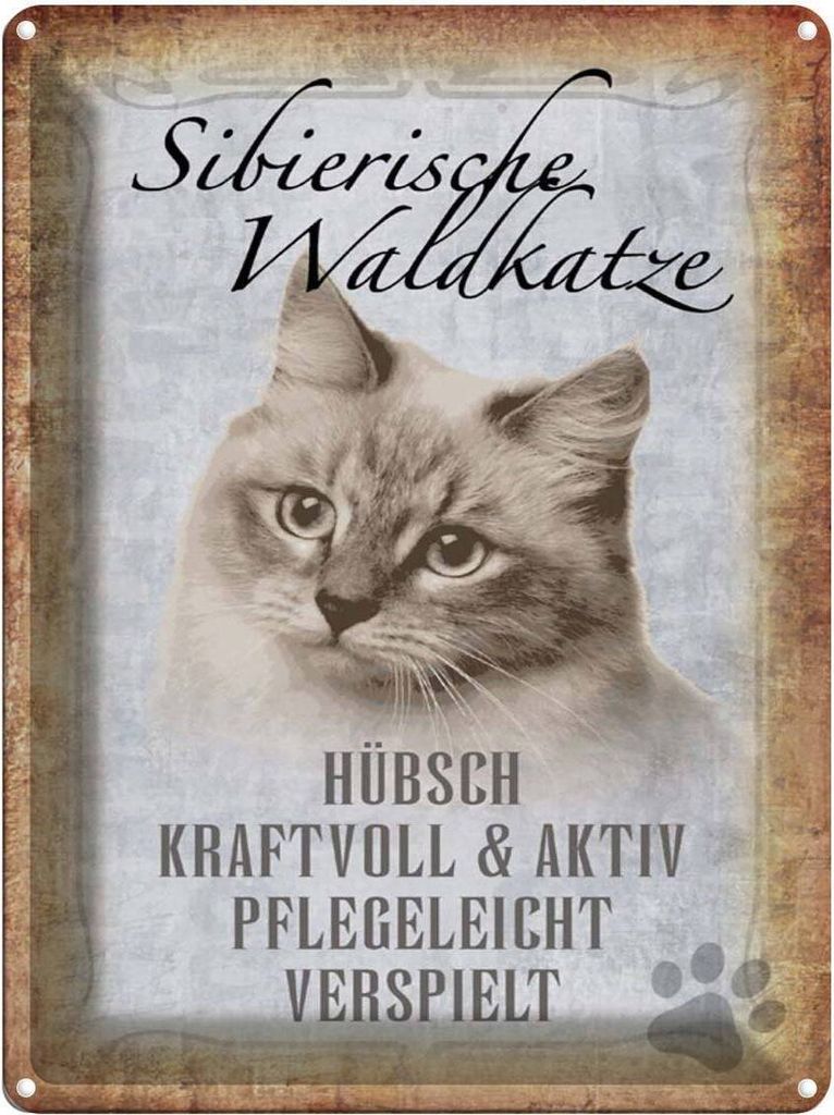 vianmo Blechschild 40x30 cm sibirische Waldkatze Katze Wand