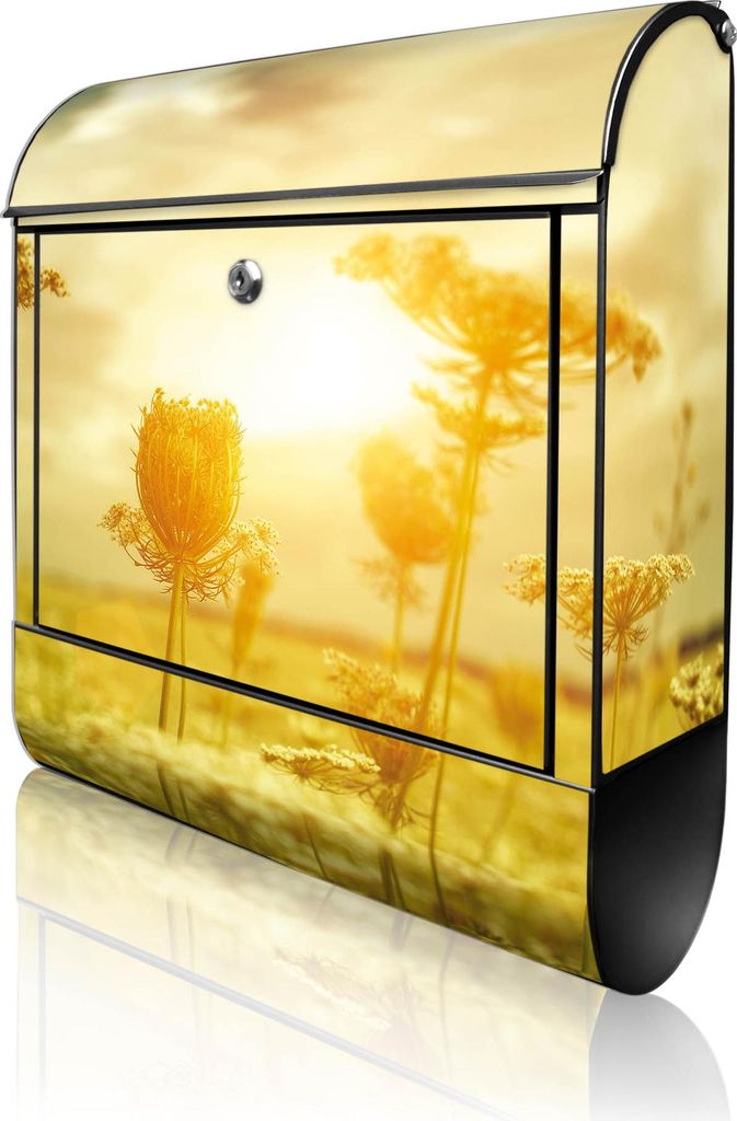 banjado Design Briefkasten Stahl schwarz mit Zeitungsfach pulverbeschichtet "Dill im Sonnenlicht" 38x46x12,5cm & 2 Schlüssel - Postkasten A4 Einwu...