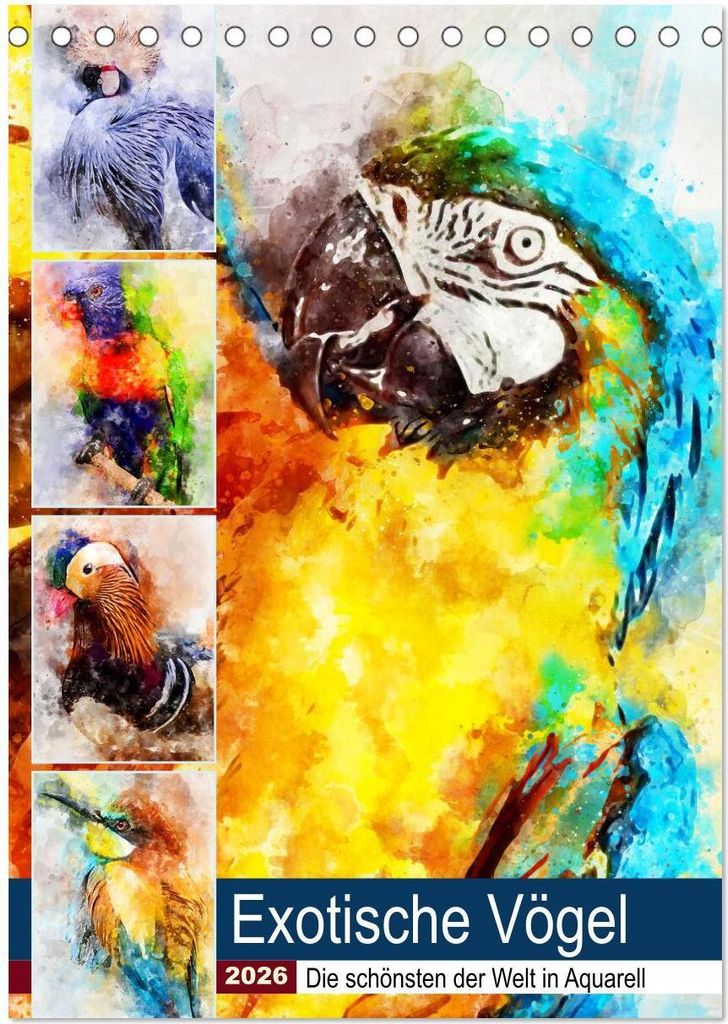 Exotische Vögel - Die Schönsten der Welt in Aquarell (Tischkalender 2026 DIN A5 hoch), CALVENDO Monatskalender