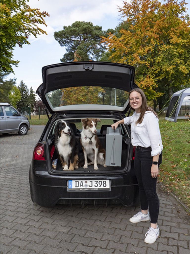 Hunderampe Emma belastbar bis 40kg Tiereinstiegshilfe für Produktbild 7