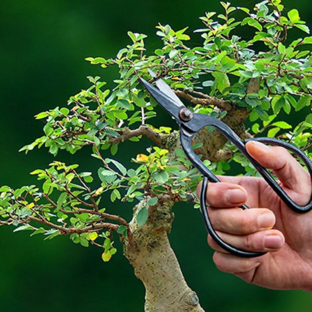 Tagliarina Per Tronchi Bonsai Wazakura – Forgiata A Mano In Giappone, Acciaio S55C, 210 Mm, Per Divisione E Modellatura