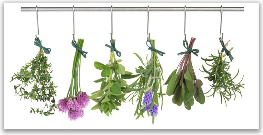 Küchenrückwand aus Glas 120x60cm Spritzschutz Blumen Pflanzen