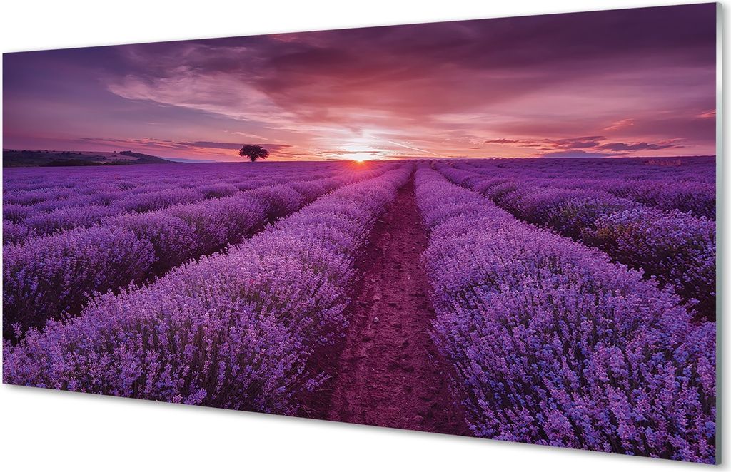 Glasbilder 120x60 Wandkunst Feld heathers