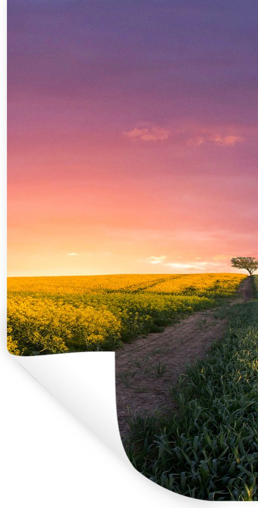 MuchoWow Wandtattoo Wandsticker Wandaufkleber Blumen - Straße - Himmel - Gelb - Lila - Sonnenuntergang - Natur 80x160 cm Selbstklebend und Repos...